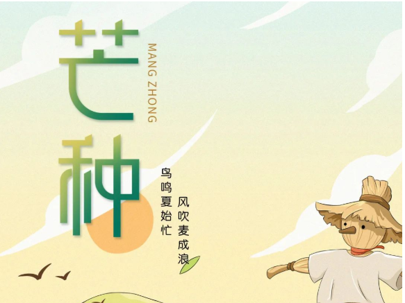 卡百利藝術(shù)涂料-二十四節(jié)氣色彩丨芒種，穗色盈仲夏，美滿正此時